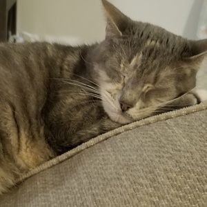 Meet your Posher, Cassie